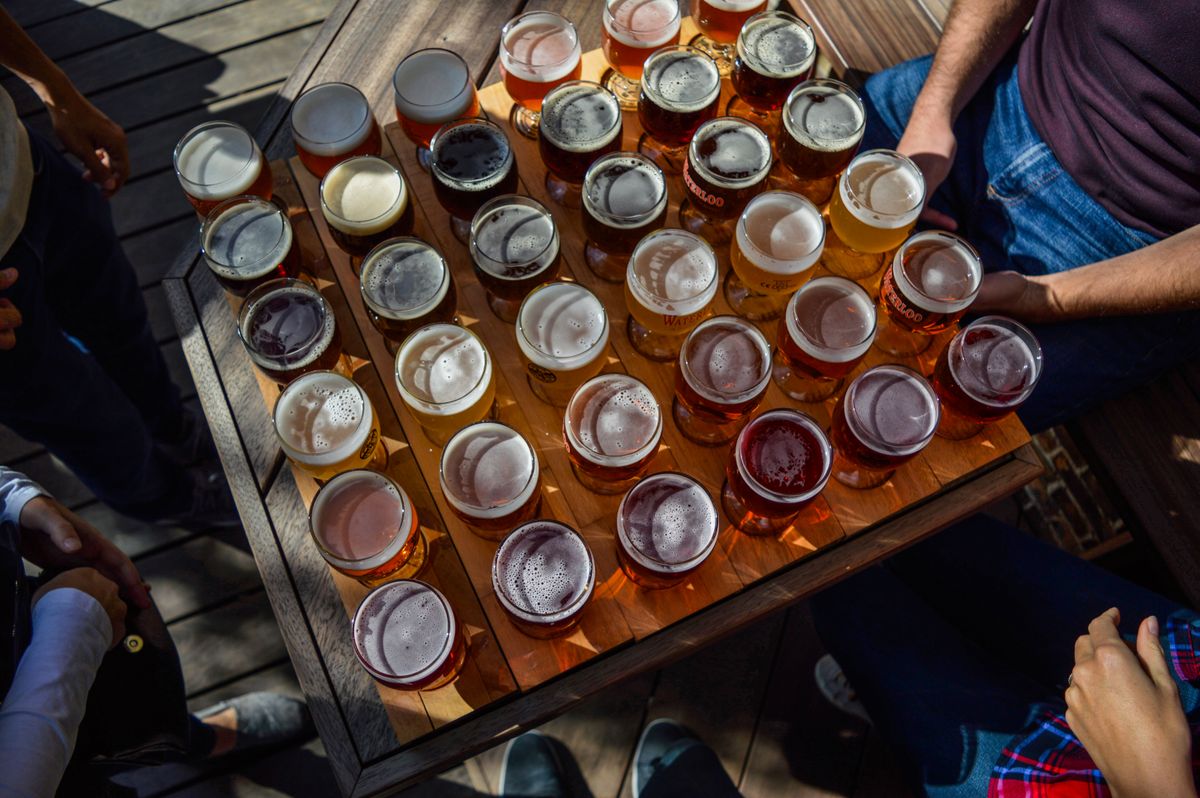 Overhead view of a group's many glasses of different beers lined up for a beer tasting