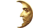 De Halve Maan logo