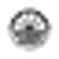 Spinney Abbey logo